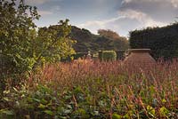 A view of the West end the Pool Garden of a large terracotta urn surrounded by Persicaria amplexicaulis 'Firetail' - October, Abbeywood Gardens, Cheshire