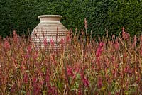 A large terracotta urn surrounded by Persicaria amplexicaulis 'Firetail' in front of yew hedge - October, Abbeywood Gardens, Cheshire