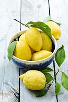Sorrento lemons - Limone di Sorrento I.G.P.