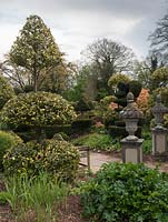 The Laskett Gardens - Amazing shapes and form of the varied topiary in the Serpentine walk including Taxus baccata and variegated Ilex.