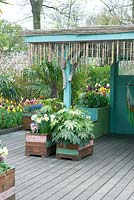 Beachbar decorated with boxes filled with tulips and hyacinths. Beach-inspiration garden at Keukenhof 2017.