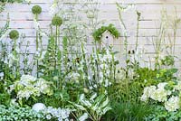 Brunnera macrophylla 'Jack Frost', Astilbe x arendsii 'Bridal Veil', Digitalis purpurea 'Albiflora', Hosta 'Fire and Ice', Ammi majus, Hydrangea macrophylla 'Nymphe' along white painted  timber wall with birdboxe and insect hotels - Living Landscapes 'City Twitchers' garden, RHS Hampton Court Flower Show 2015. Designed by Sarah Keyser. CouCou Design