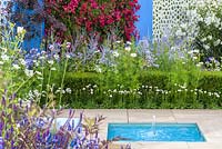 A living wall with crimson bougainvillea against  blue background and Nerium oleander alba against white pierced aluminium panel and pond in Noble Caledonia garden, Spirit of the Aegean, RHS Hampton Court Palace Flower Show 2015. Designed by Esra Parr