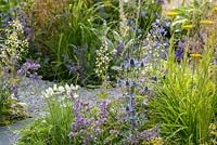 Planting of yellow, white and blue flowers: Achillea filipenulina 'Gold Plate', Eryngium x zabelii, Nepata racemosa 'Walker's Low', Cosmos,  Verbascum bombyciferum and grasses in Unique: The Rare Chromosome Disorder Garden at RHS Hampton Court Flower Show 2015. Designed by Catherine Chenery and Barbara Harfleet