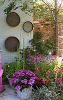 Old garden sieves on wall with containers of hydrangea and horsetail reed