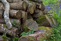 Pile of cut logs with Badger Cafe sign