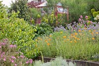 Terraced gravel beds leading to decorative painted greenhouse with Euphorbia, Judas tree, Cistus, Centranthus ruber, Borage and Papaver rupifragum