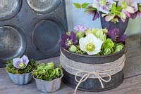 Hellebore flowers arranged in moss in upcycled cake tins