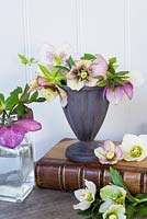 Hellebores arranged in metal and glass containers on old books