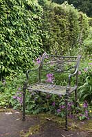 Traditional wrought iron chair in garden - July, Craigieburn, Moffat, Scotland