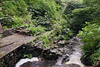 The Craigieburn flowing through the gorge in the shady woodland area of the garden - July, Craigieburn, Moffat, Scotland