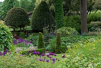A cottage garden planted with Allium 'Purple Sensation', Aconitum napellus, Anthriscus 'Ravenswing' and buttercups, alongside formal structure created by low box hedging, conical shaped yews and domed holly trees.