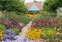 Autumn twin herbaceous borders punctuated by clumps of violet blue Aster amellus 'King George',  golden Rudbeckia fulgida, salvias, coneflowers and sedum.
