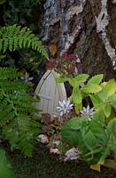 Fairy door in birch tree with Sedum 'Autumn Joy'