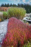 Borders with Imperata cylindrica 'Red Baron' and Miscanthus sinensis 'Zebrinus'


