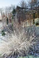 Winter border with grasses and seedheads featuring Pennisetum alopecuroides 'Moudry', Echinacea purpurea and Rudbeckia fulgida 'Goldsturm' with Cypressus sempervirens and box balls - December, Mas de Bety, France