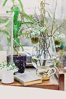 Coffee table in conservatory with lantern, vase with hazel twigs and snowdrops in miniature vases, book and mug - January, France