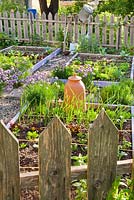 Vegetable and herb bed in spring. Garlic, lettuce, onion, kohlrabi, chives, perennials. Rhubarb forcer.
