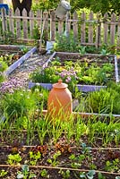 Vegetable and herb bed in spring. Garlic, lettuce, onion, kohlrabi, chives, perennials. Rhuibarb forcer.