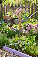 Garden fork in kitchen garden.