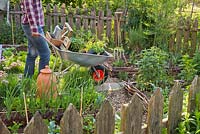 Woman pushing wheelbarrow filled with vegetable and herb seedlings.