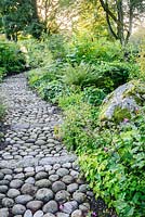 A path of cobbles and stone edged with epidmedium leads through the woodland garden planted with hellebores, ferns, Solomon's Seal and many other choice plants.