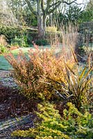 Border in the front garden with evergreen Pseudowintera colorata 'Marjorie Congreve', phormium and prostrate yew. Windy Ridge, Little Wenlock, Shropshire, UK