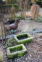 Gravel garden in front of the house includes small trailing conifer Larix decidua 'Puli', Ophiopogon planiscapus 'Nigrescens' and grasses, with moss covered troughs in the foreground. 'Windy Ridge, Little Wenlock, Shropshire, UK