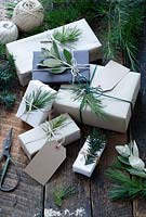 Lots of presents wrapped with brown and white paper and fastened with string, with gift tags and string.  Decorated with fir tree, yew tree and silvery foliage, with scissors