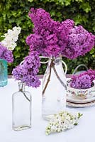 Mixed Syringa flowers - lilac displayed in glass jar and bottles