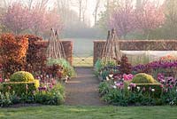 Colourful spring garden with pathway to gate between beds of mixed Tulipa, clipped Buxus and beech hedging with blossom beyond. Ulting Wick, Essex, Owner: Philippa Burrough

