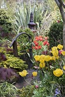 View of the path and wooden bridge amongst flower beds with Abies nordmanniana 'Golden Spreader', colourful mixed tulips: Tulipa 'Golden Apeldoorn', 'Ad Rem' To right  Taxus baccata 'Fastigiata', Phormium Tenax.