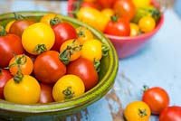 Bowls of Tomatoes, Solanum lycopersicum, 'Suncherry Smile' and 'Tumbling Tom Yellow'.