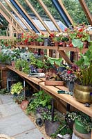 Flower pots in a timber frame greenhouse. Design: Gabriel Ash. RHS Hampton Court Palace Flower Show 2017