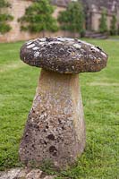 Lichen covered staddle stone in lawn - June, Bourton House, Bourton-on-the-Hill, Moreton-in-Marsh, Gloucestershire, UK