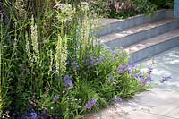 Hampton Court Flower Show, 2017. Viking Cruises 'World of Discovery' garden, des. Paul Hervey-Brookes, paved patio area with steps and informal bue and white planting