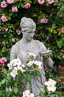Statue with Rosa 'Bantry Bay'. Spring Pond garden, Laverstock, Hampshire. June. Opens for the NGS