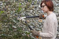 Woman using loppers to prune climbing rose