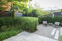 Small suburban garden. Terrace with concrete tiles. Border with foliage plants including bamboo block - Fargesia