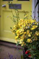 Country cottage with yellow door and yellow dasies.