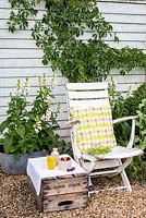 Seating area in small garden with white foxgloves