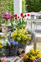 Spring flowers in pots