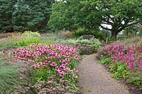 Echinacea purpurea, Astilbe chinensis 'Purpurlanze', Sedum Matrona, Monarda, Persicara, Eupatorium purpureum - Millennium Garden - Pensthorpe Gardens, Norfolk - Late July 2017
