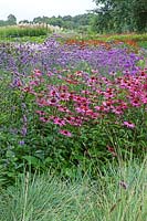 Echinacea purpurea, Verbena bonariensis, Phlox paniculata, Helenium, Persicara - Millennium Garden - Pensthorpe Gardens, Norfolk - Late July 2017
