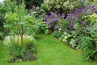Garden view with pink and purple buddleias and quince tree