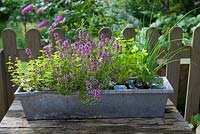 Herbs in galvanised window box on wooden table