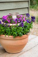 Tiered lantern container with Phlox 'Dwarf Carpet' and Nemesia 'Myrtille'