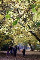 Visitors walking amongst the autumn trees at Westonbirt Arboretum in Gloucestershire