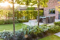 Long herbaceous borders lead to a patio area with seating, in a modern Cheshire country garden, designed by Louise Harrison-Holland. Plants include box hedging, pleached Pyrus calleryana 'Chanticleer', Japanese anemones, Stachys, Persicaria and Ophiopogon planiscapus 'Nigrescens'