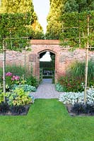 Long herbaceous borders along an old garden wall with gateway, designed by Louise Harrison-Holland. Plants include pleached Pyrus calleryana 'Chanticleer', Japanese anemones, Stachys, Persicaria, Ophiopogon planiscapus 'Nigrescens' and Miscanthus sinensis 'Kleine Fontaine'
